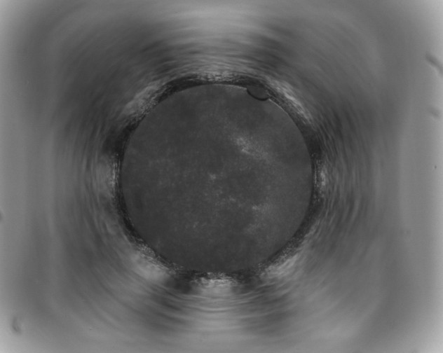 X0000095130645200712071309