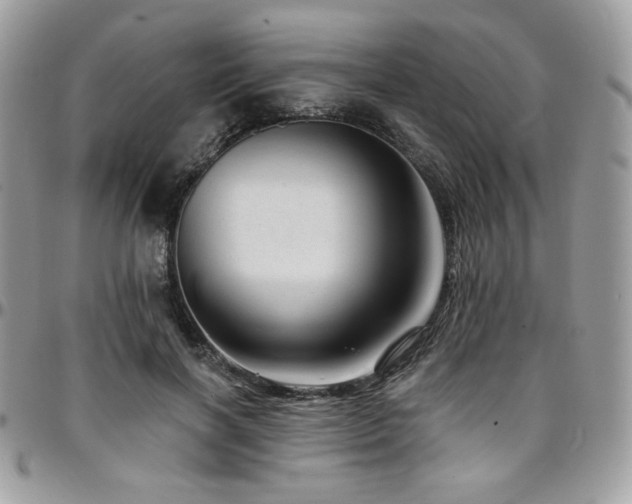 X0000095130646200712071309