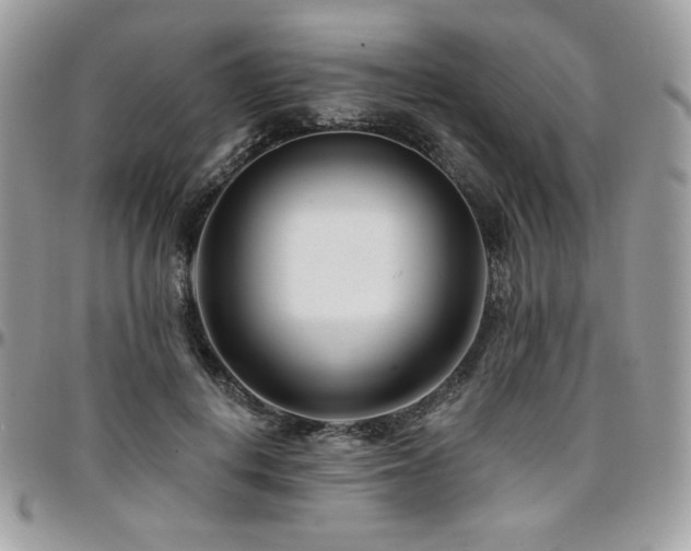 X0000095130648200712071309