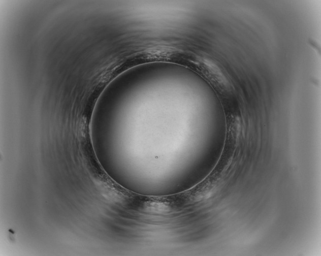 X0000095130649200712071309