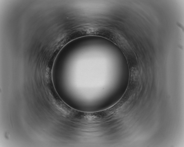 X0000095130650200712071309