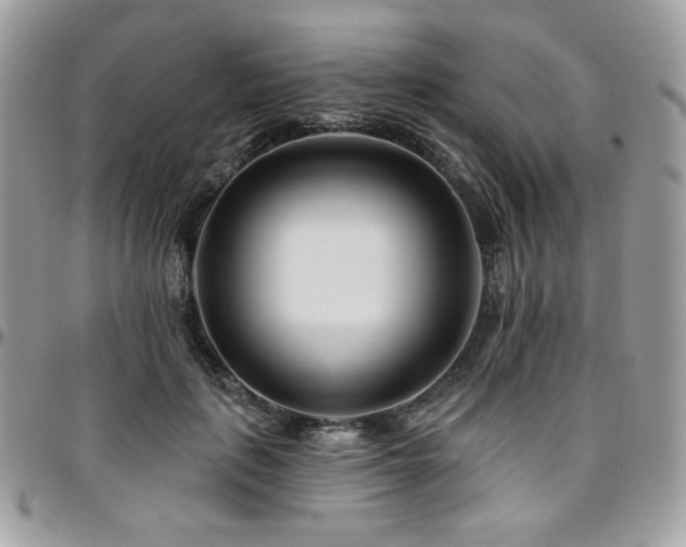 X0000095130651200712071309