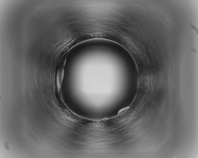 X0000095130652200712071309