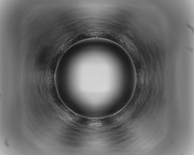 X0000095130653200712071309