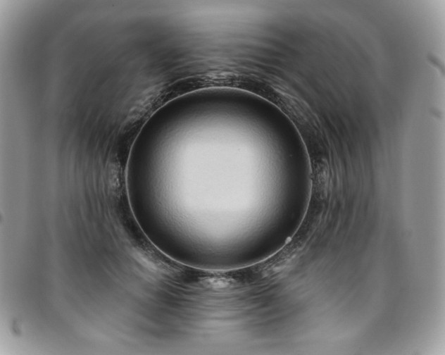 X0000095130654200712071309