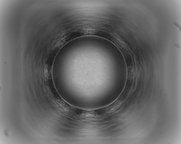 X0000095130655200712071309