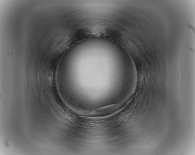 X0000095130656200712071309