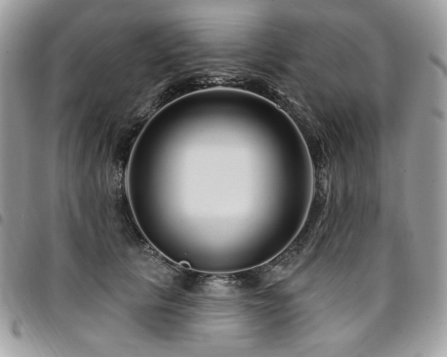 X0000095130657200712071309