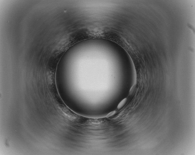 X0000095130658200712071309