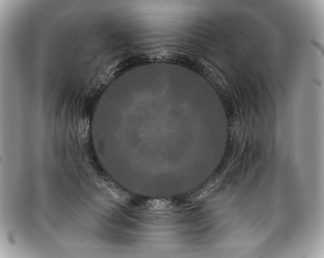 X0000095130660200712071309