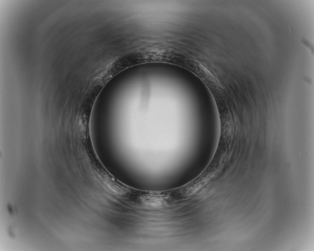 X0000095130661200712071309