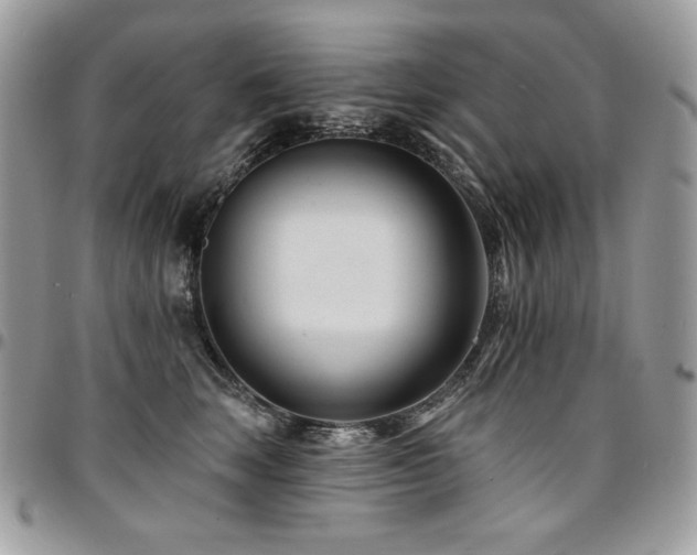 X0000095130663200712071309