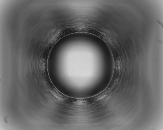 X0000095130664200712071309