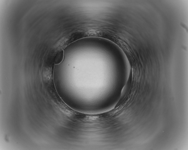 X0000095130665200712071309