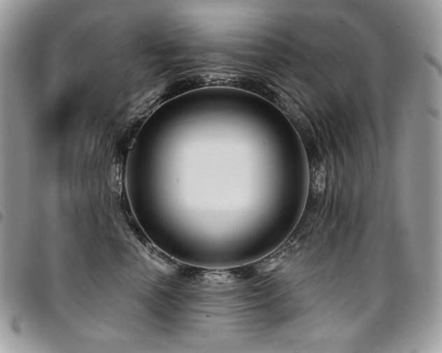 X0000095130666200712071309