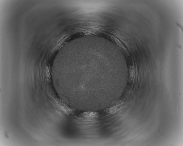 X0000095130667200712071309