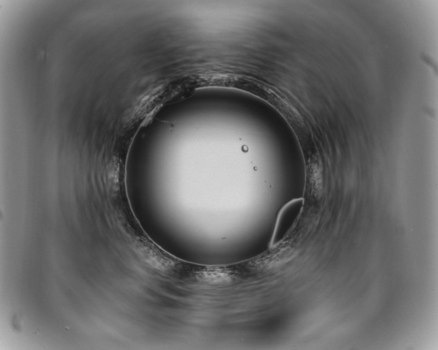 X0000095130668200712071309