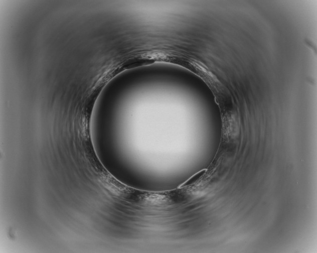 X0000095130669200712071309