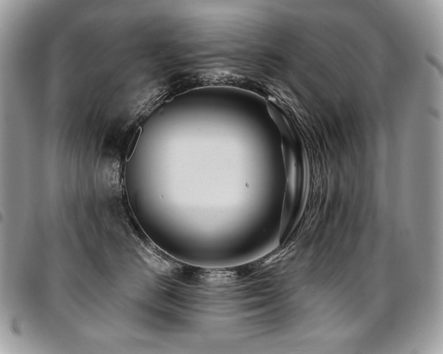 X0000095130670200712071309