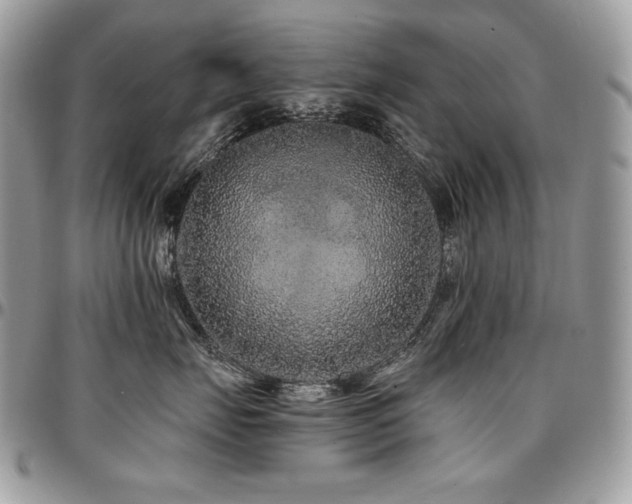 X0000095130671200712071309