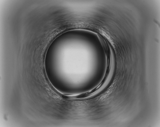 X0000095130673200712071309