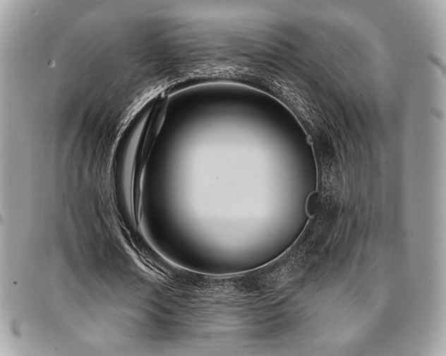 X0000095130674200712071309