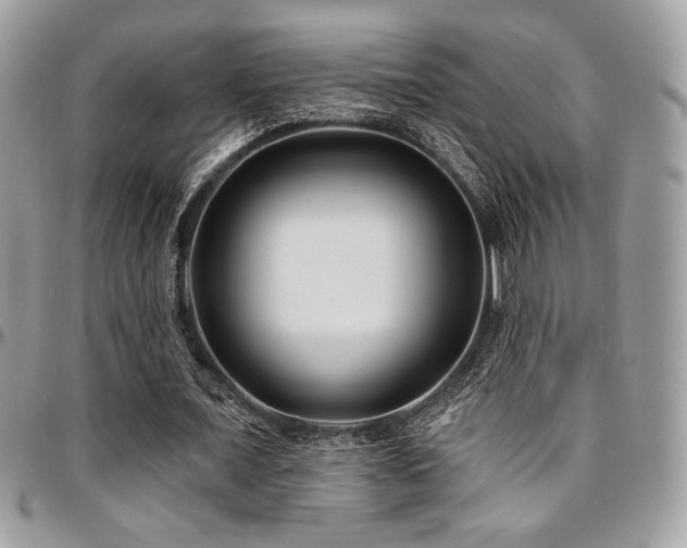 X0000095130675200712071309