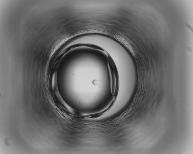 X0000095130676200712071309