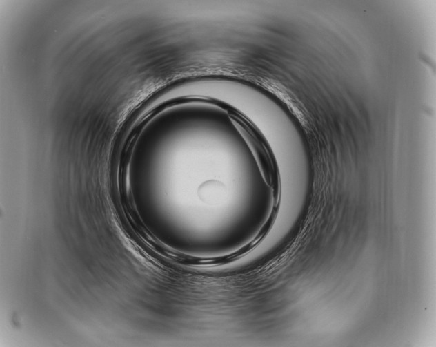 X0000095130677200712071309