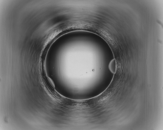 X0000095130678200712071309