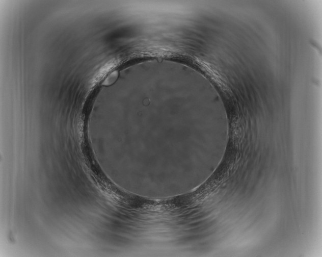 X0000095130679200712071309