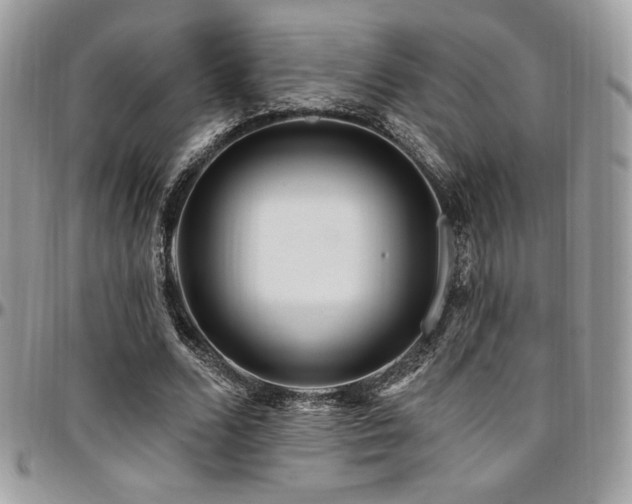 X0000095130680200712071309