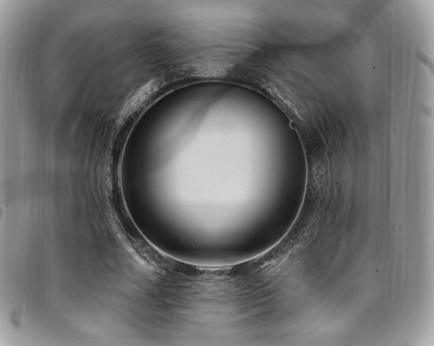 X0000095130682200712071309