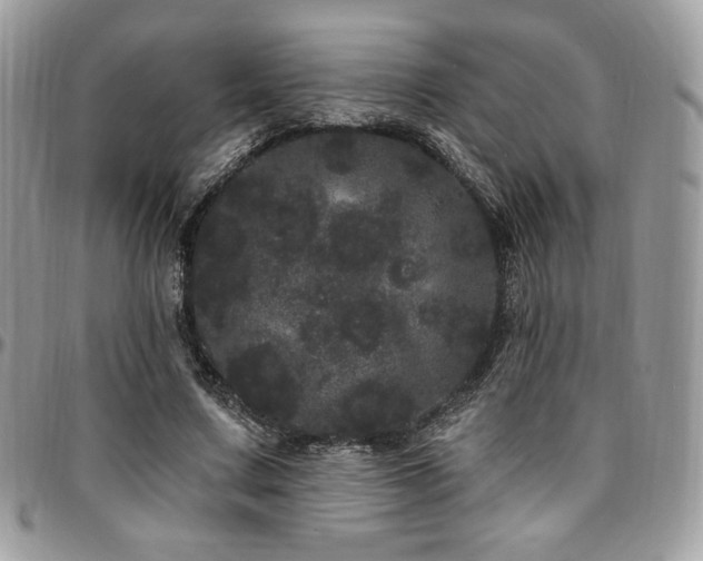 X0000095130683200712071309