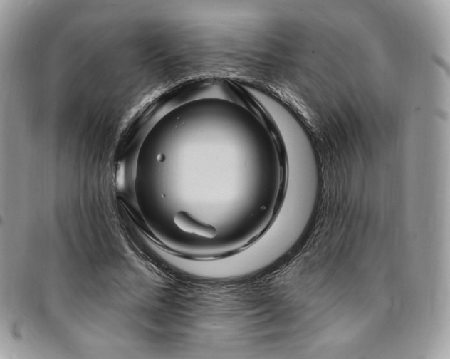 X0000095130684200712071309