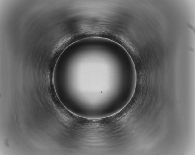 X0000095130685200712071309