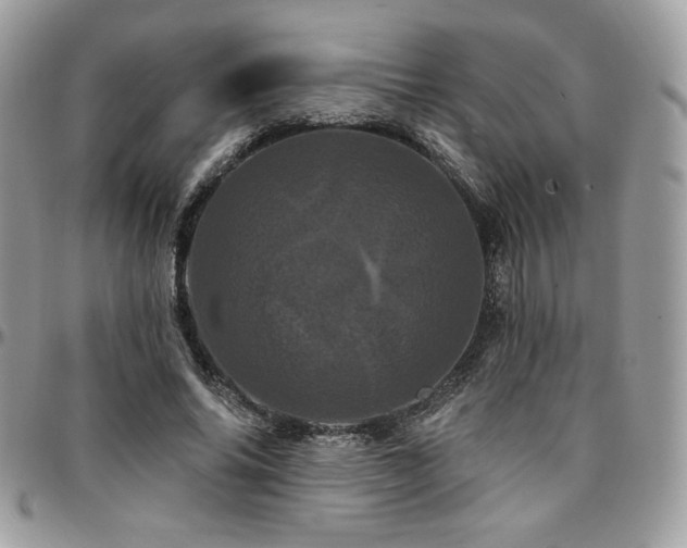 X0000095130686200712071309