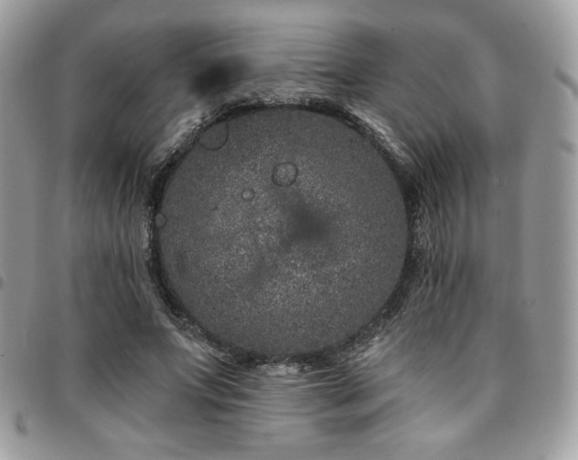 X0000095130687200712071309