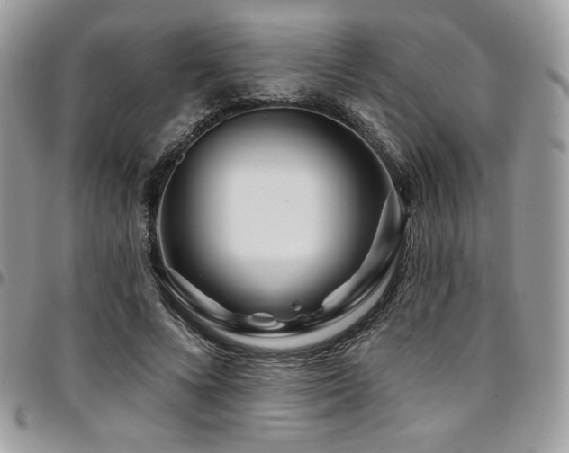 X0000095130688200712071309