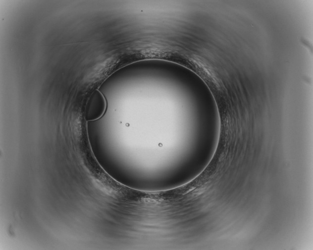 X0000095130690200712071308