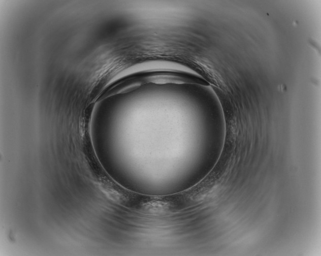 X0000095130691200712071308