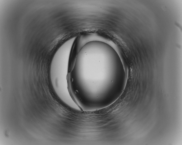 X0000095130693200712071308