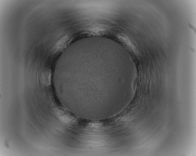 X0000095130694200712071308