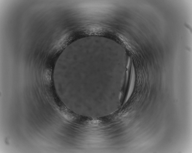 X0000095130695200712071308