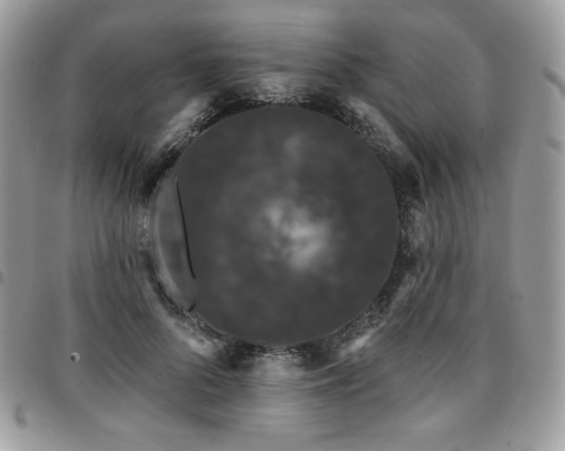 X0000095130696200712071308