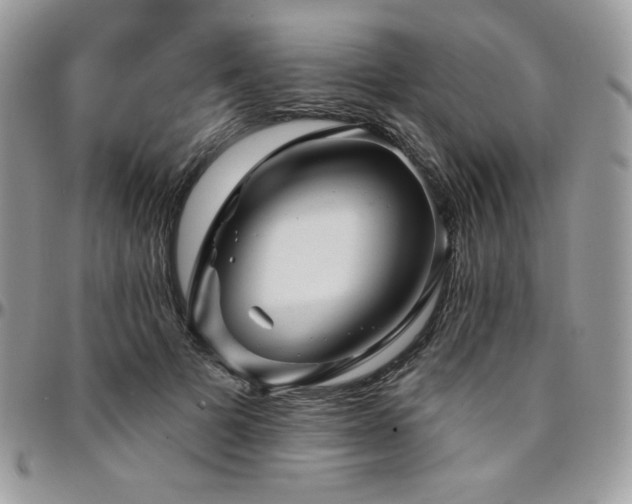 X0000095130697200712071308