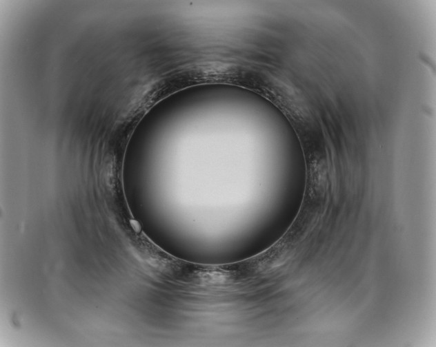 X0000095130698200712071308