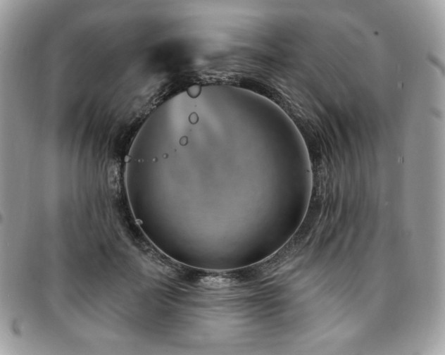 X0000095130699200712071308