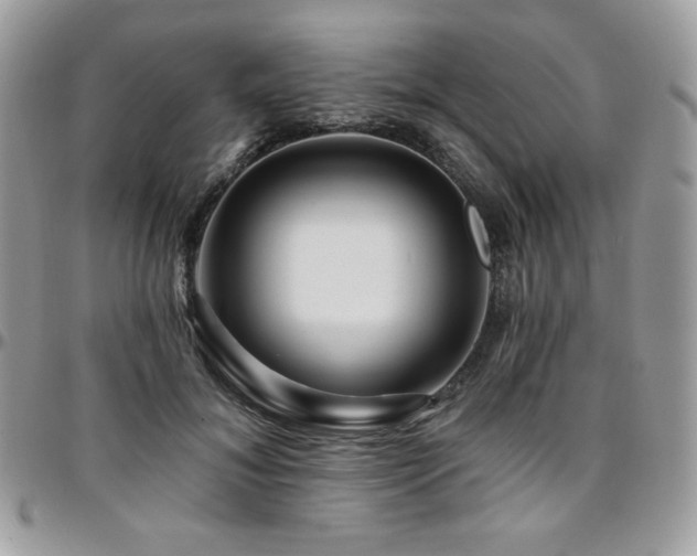 X0000095130700200712071308