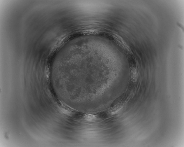 X0000095130701200712071308